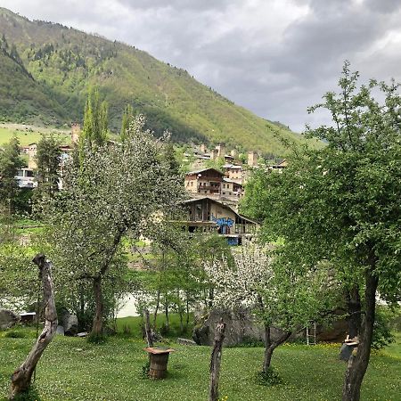 Mushkudiani Manor Ξενοδοχείο Μέστια Εξωτερικό φωτογραφία