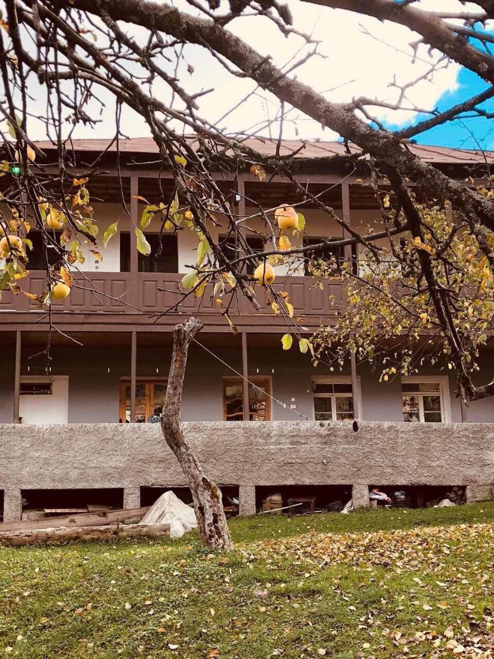 Mushkudiani Manor Ξενοδοχείο Μέστια Εξωτερικό φωτογραφία