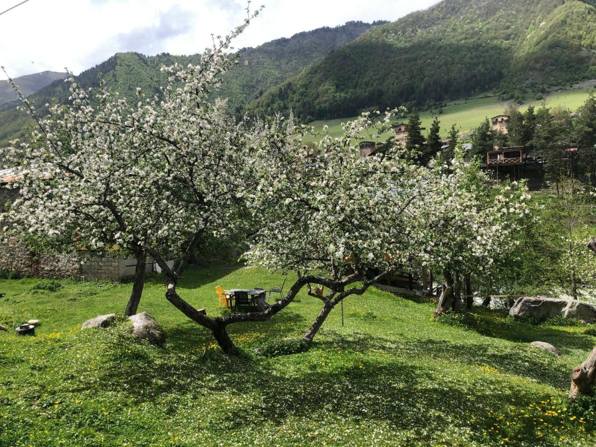 Mushkudiani Manor Ξενοδοχείο Μέστια Εξωτερικό φωτογραφία
